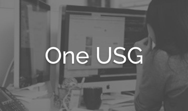 One USG